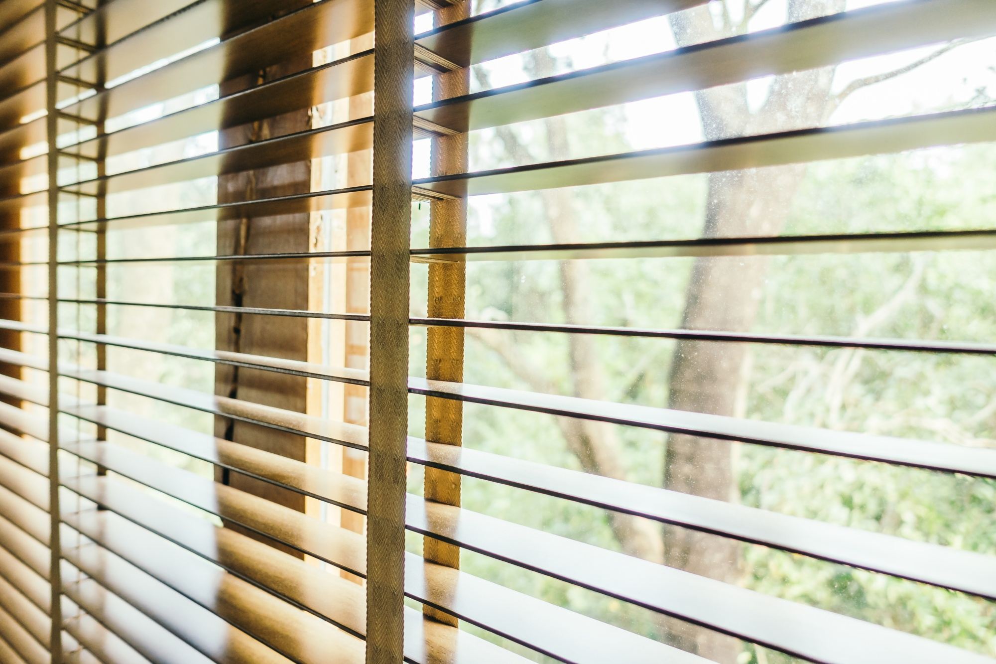 4508 Professional Blind Cleaning Secrets