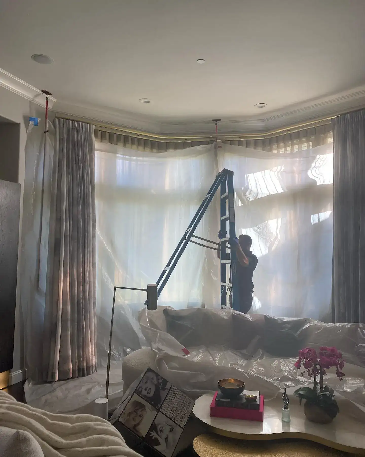 Upholstery Cleaning