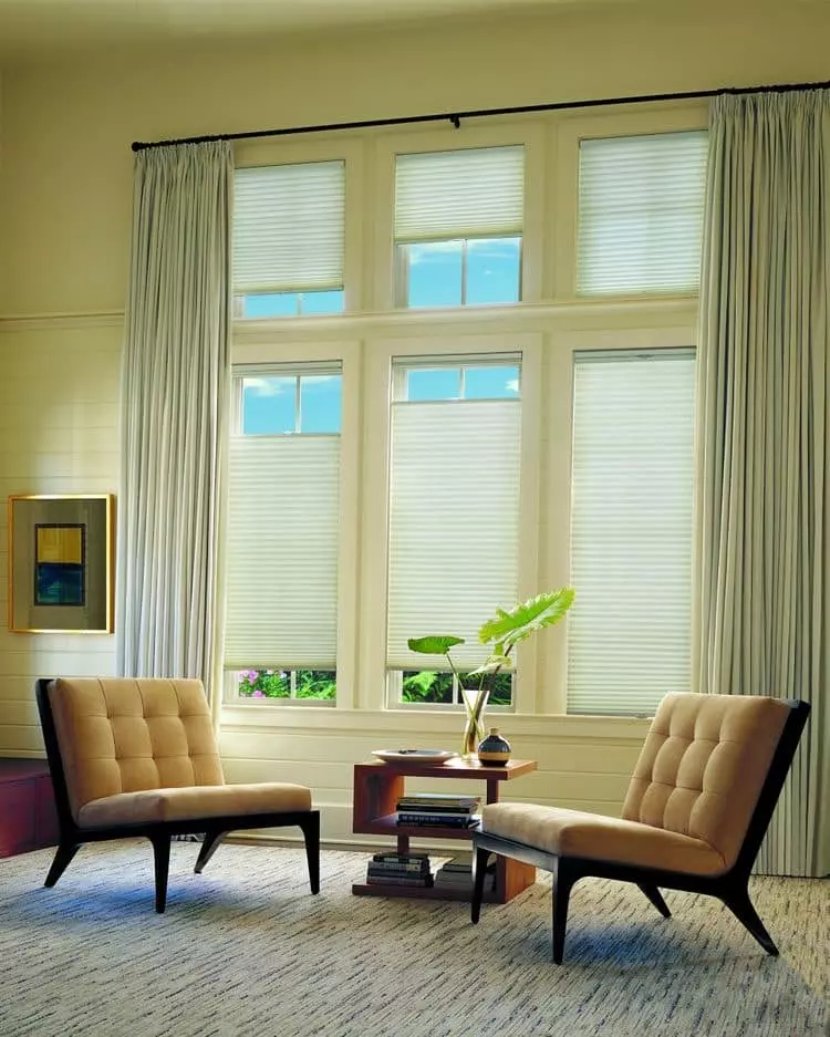 Window Treatment